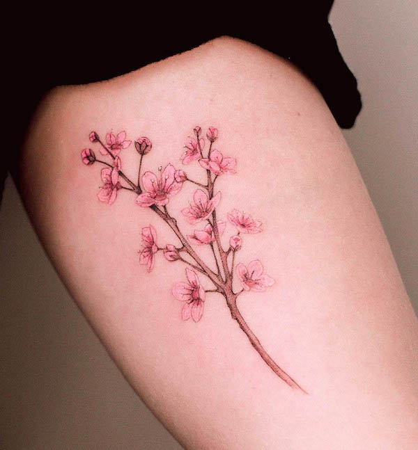 61 bellissimi tatuaggi di fiori di ciliegio con significato - Veronica Tudor